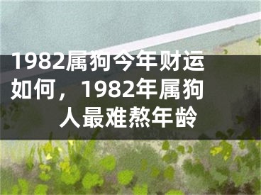 1982属狗今年财运如何，1982年属狗人最难熬年龄