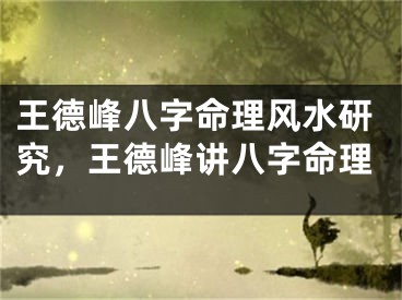 王德峰八字命理风水研究，王德峰讲八字命理