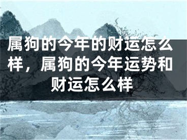 属狗的今年的财运怎么样,属狗的今年运势和财运怎么样