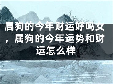 属狗的今年财运好吗女，属狗的今年运势和财运怎么样
