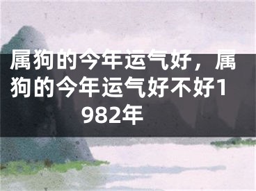 属狗的今年运气好,属狗的今年运气好不好1982年