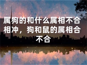 属狗的和什么属相不合相冲,狗和鼠的属相合不合