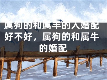 属狗的和属羊的人婚配好不好,属狗的和属牛的婚配