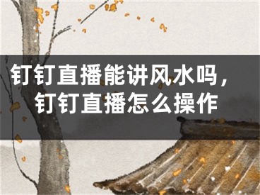 钉钉直播能讲风水吗，钉钉直播怎么操作