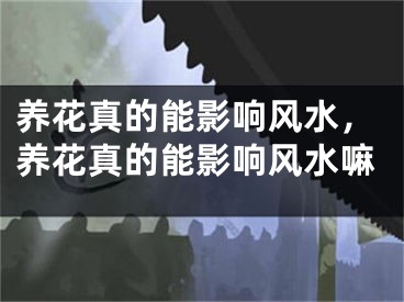养花真的能影响风水，养花真的能影响风水嘛