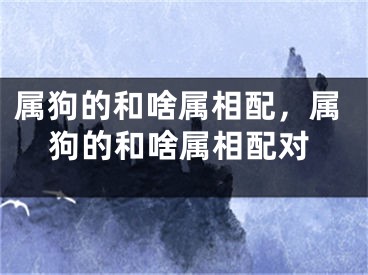 属狗的和啥属相配,属狗的和啥属相配对