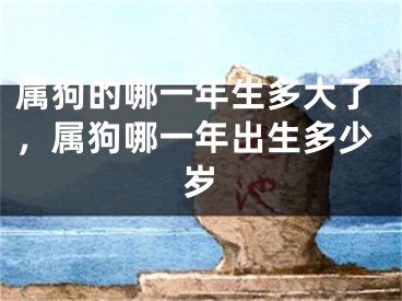 属狗的哪一年生多大了,属狗哪一年出生多少岁
