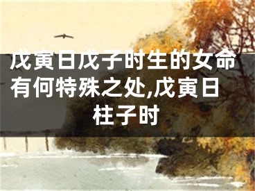 戊寅日戊子时生的女命有何特殊之处,戊寅日柱子时