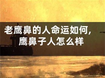 老鹰鼻的人命运如何,鹰鼻子人怎么样