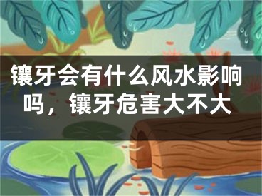 镶牙会有什么风水影响吗，镶牙危害大不大