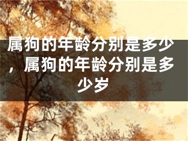 属狗的年龄分别是多少,属狗的年龄分别是多少岁