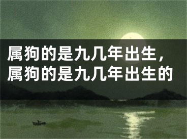 属狗的是九几年出生,属狗的是九几年出生的