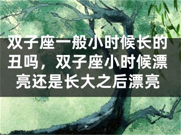 双子座一般小时候长的丑吗，双子座小时候漂亮还是长大之后漂亮