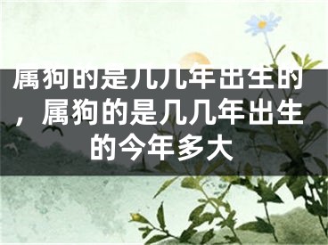属狗的是几几年出生的,属狗的是几几年出生的今年多大