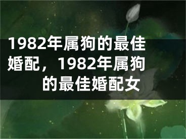 1982年属狗的最佳婚配，1982年属狗的最佳婚配女