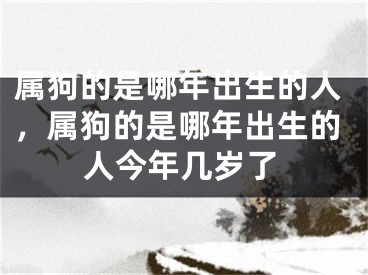 属狗的是哪年出生的人,属狗的是哪年出生的人今年几岁了