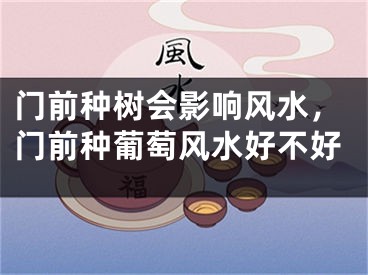 门前种树会影响风水，门前种葡萄风水好不好
