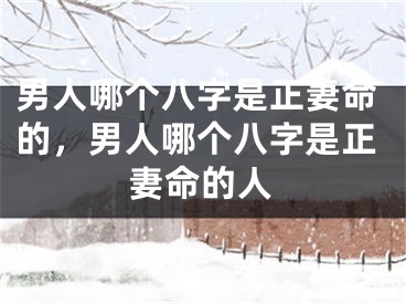 男人哪个八字是正妻命的，男人哪个八字是正妻命的人