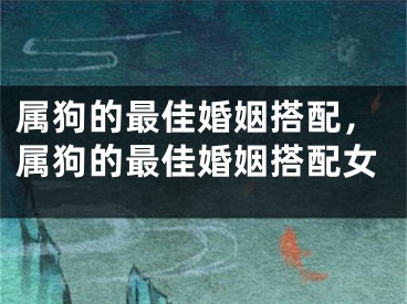 属狗的最佳婚姻搭配,属狗的最佳婚姻搭配女