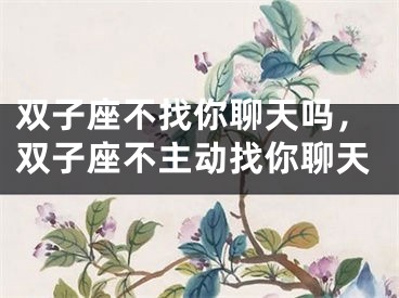 双子座不找你聊天吗,双子座不主动找你聊天