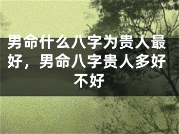 男命什么八字为贵人最好,男命八字贵人多好不好