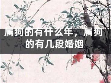 属狗的有什么年，属狗的有几段婚姻
