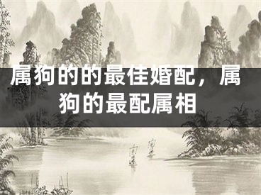 属狗的的最佳婚配,属狗的最配属相
