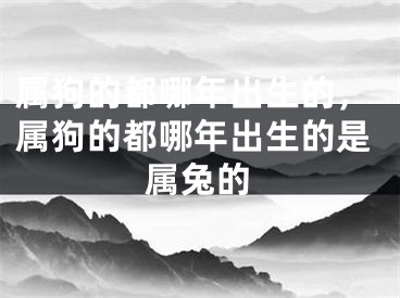 属狗的都哪年出生的,属狗的都哪年出生的是属兔的