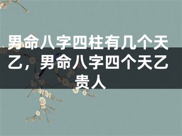 男命八字四柱有几个天乙，男命八字四个天乙贵人