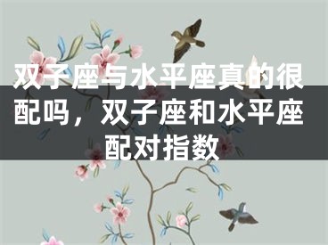 双子座与水平座真的很配吗,双子座和水平座配对指数