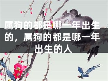 属狗的都是哪一年出生的,属狗的都是哪一年出生的人
