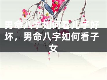 男命八字如何看儿子好坏，男命八字如何看子女