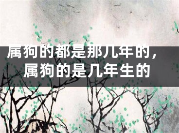 属狗的都是那几年的,属狗的是几年生的