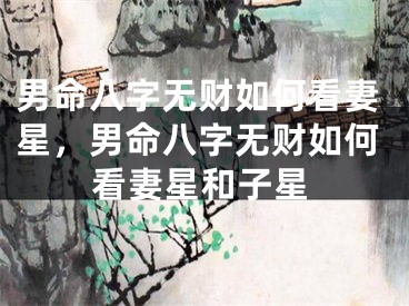 男命八字无财如何看妻星，男命八字无财如何看妻星和子星