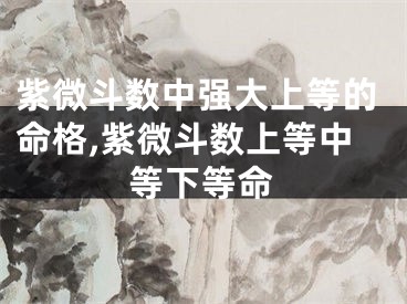 紫微斗数中强大上等的命格,紫微斗数上等中等下等命