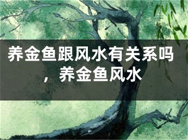 养金鱼跟风水有关系吗,养金鱼风水