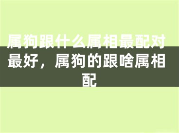 属狗跟什么属相最配对最好,属狗的跟啥属相配