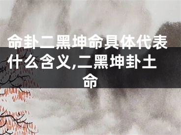 命卦二黑坤命具体代表什么含义,二黑坤卦土命
