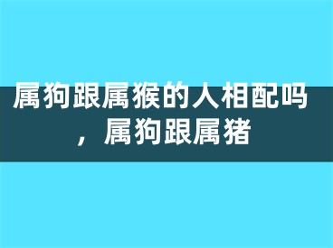 属狗跟属猴的人相配吗,属狗跟属猪