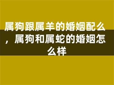 属狗跟属羊的婚姻配么，属狗和属蛇的婚姻怎么样