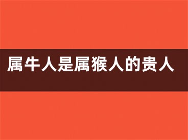 属牛人是属猴人的贵人
