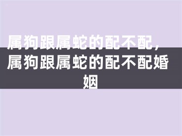 属狗跟属蛇的配不配,属狗跟属蛇的配不配婚姻