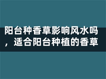 阳台种香草影响风水吗，适合阳台种植的香草