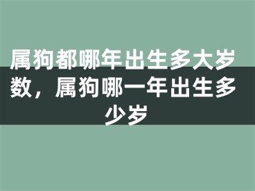 属狗都哪年出生多大岁数,属狗哪一年出生多少岁