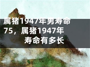 属猪1947年男寿命75，属猪1947年寿命有多长