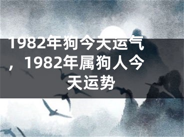 1982年狗今天运气，1982年属狗人今天运势