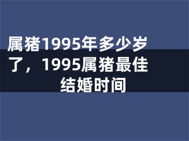 属猪1995年多少岁了,1995属猪最佳结婚时间