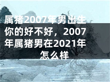 属猪2007年男出生你的好不好，2007年属猪男在2021年怎么样