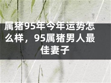 属猪95年今年运势怎么样,95属猪男人最佳妻子