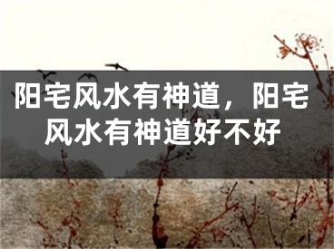 阳宅风水有神道，阳宅风水有神道好不好